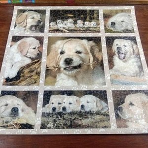 Puzzle Plastificado Completo de Golden Retrievers Bebés - imagen 1