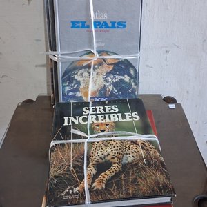 Lote siguiente: Enciclopedias el pais y de animales