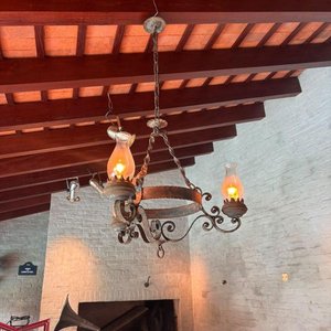 Lámpara Colgante de Hierro Forjado con 3 Brazos y Tulipanes - imagen 5
