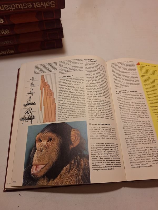 Item 878759 - Image 1