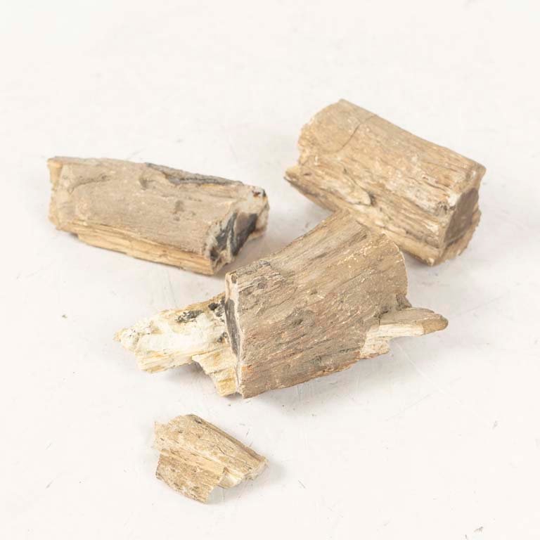 Item 2105552 - Image 0