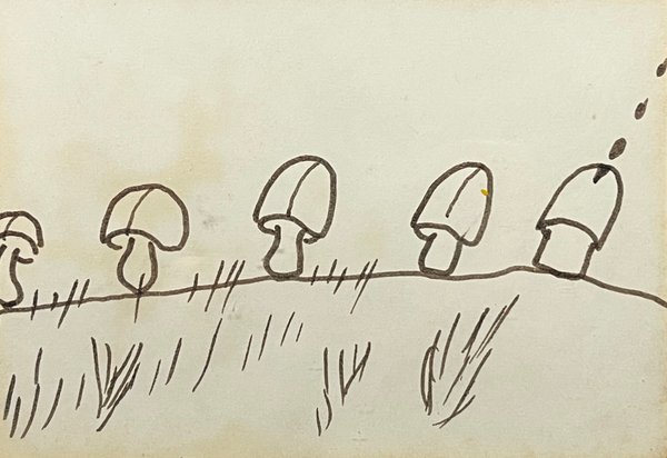 Dibujo "Hongos" de Ernesto Cristiani - Tinta sobre Papel - imagen 1