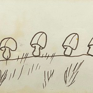 Dibujo "Hongos" de Ernesto Cristiani - Tinta sobre Papel - imagen 1