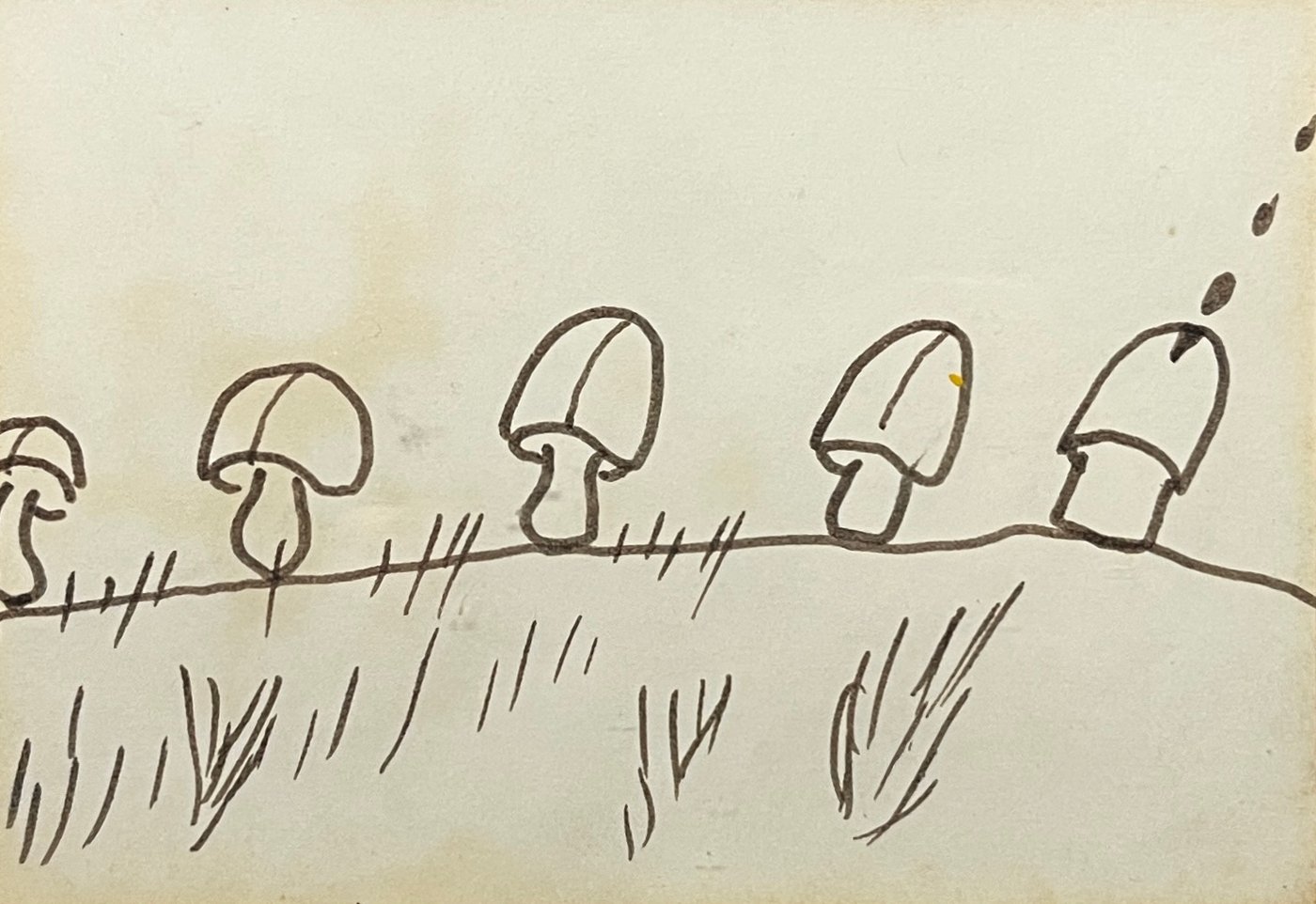 Dibujo "Hongos" de Ernesto Cristiani - Tinta sobre Papel