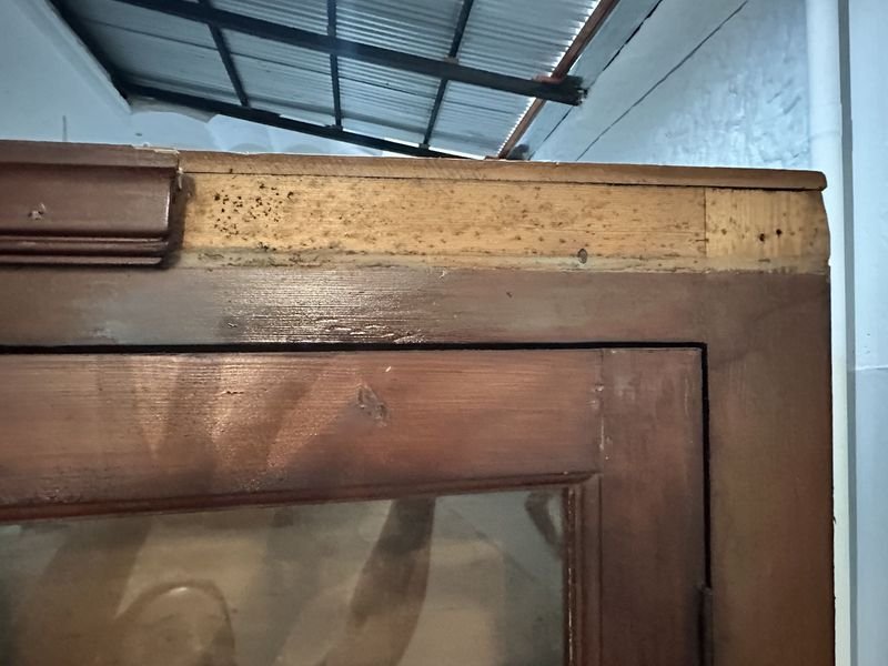 Item 874021 - Image 5