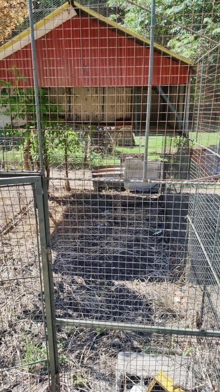 Item 869948 - Image 1