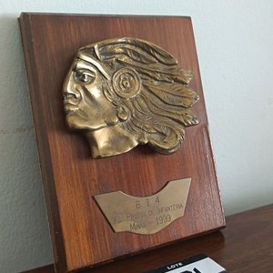 Lote siguiente: Placa Conmemorativa Militar Bronce y Madera - Prueba Infantería Minas 1999