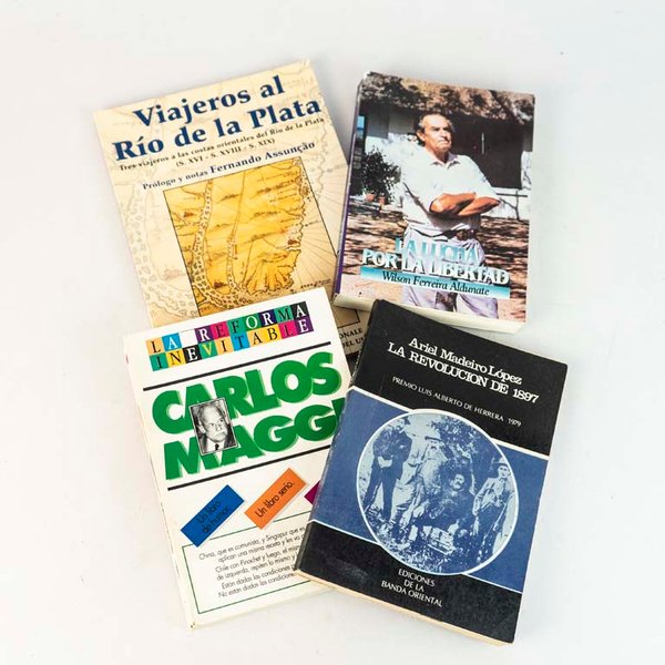 Lote de 4 Libros Históricos y de Viajes: La Lucha por la Libertad, La Reforma Inevitable, La Revolución de 1897, Viajeros del Río de La Plata - imagen 1