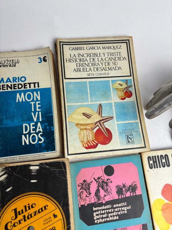 Colección de libros en español de autores latinoamericanos - imagen 7