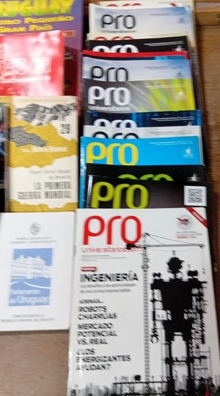 Item 893639 - Image 2