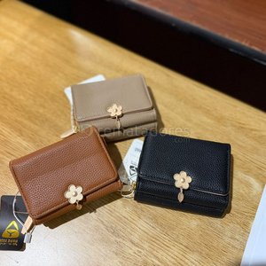 Lote anterior: Set de Carteras y Perfumes de Mujer