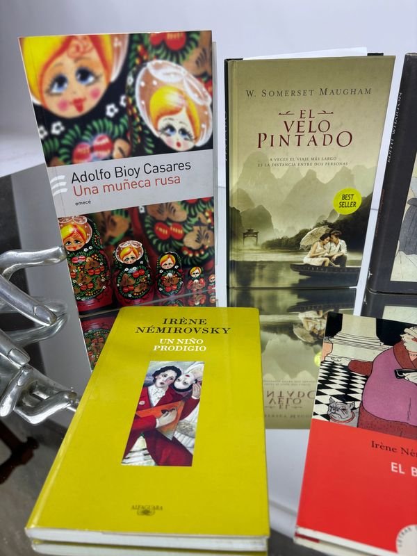 Colección de libros clásicos y contemporáneos - imagen 2