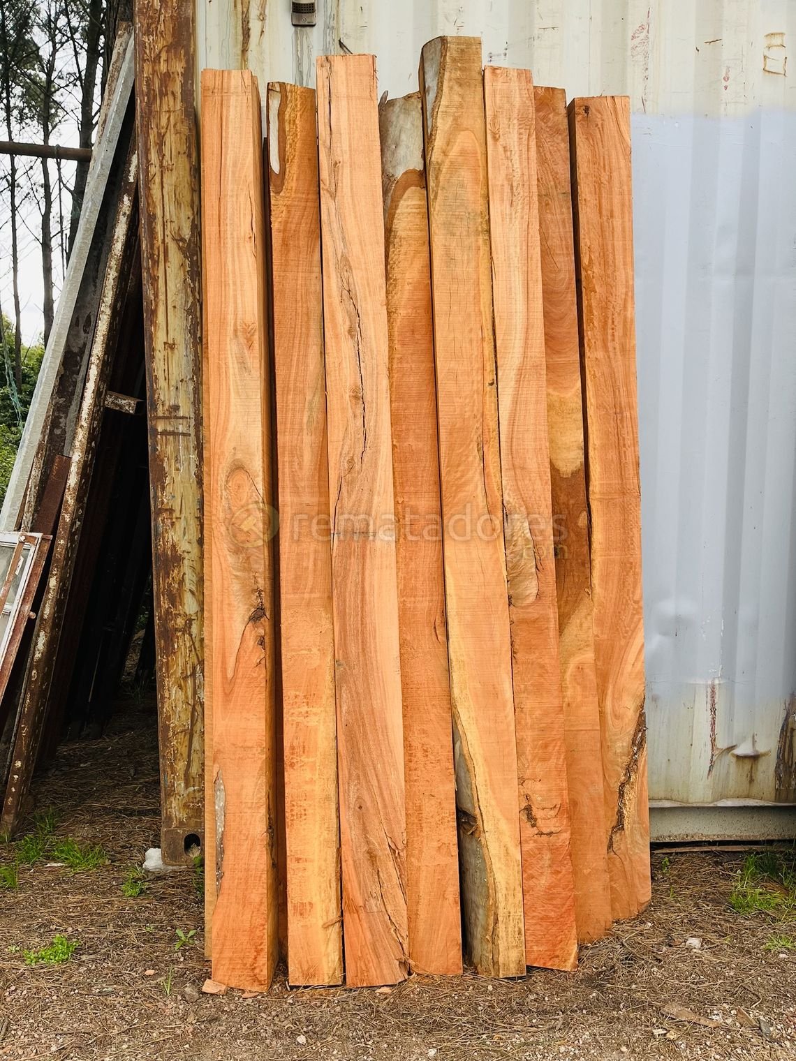 Lote de Tablas de Madera Natural