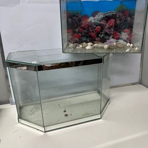 Lote siguiente: Dos Peceras de Vidrio: Hexagonal y Rectangular con Decoración