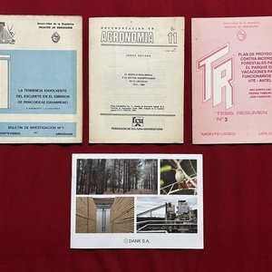 Informe Anual UPM Forestal Oriental 2016 y Libros Agronomía Uruguay - imagen 3