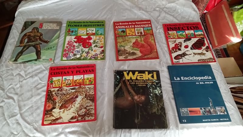 Item 891462 - Image 0