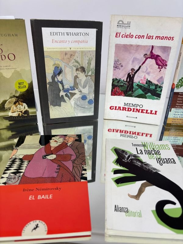 Colección de libros clásicos y contemporáneos - imagen 3