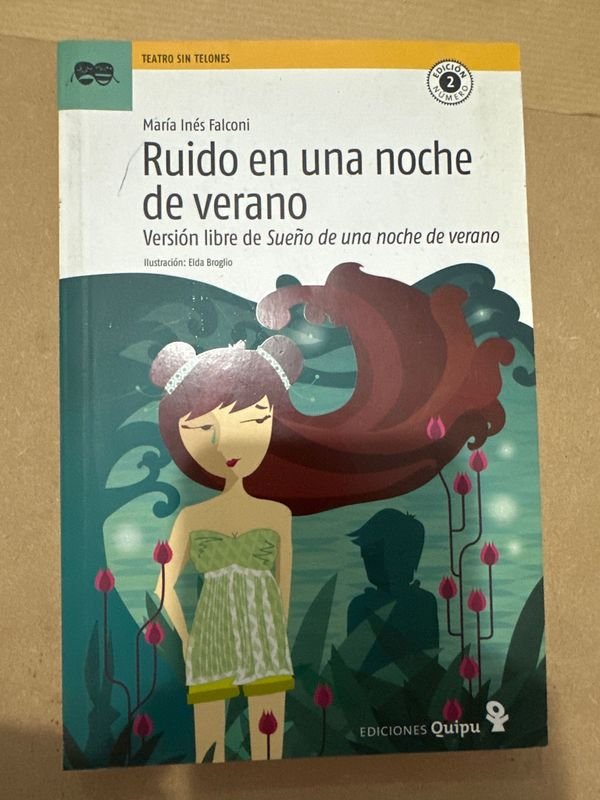 Libro "Ruido en una noche de verano" de María Inés Falconi