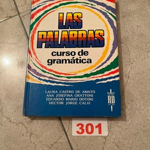 Las Palabras: Curso de Gramática por Castro de Amato, Grattoni, Dotori y Calvi - imagen 1