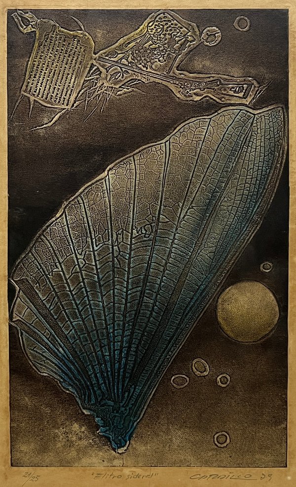 Grabado "Élitro sideral" de Rimer Cardillo, 1979 - imagen 1