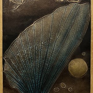 Lote siguiente: Grabado "Élitro sideral" de Rimer Cardillo, 1979