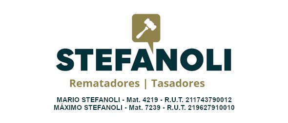Logo de STEFANOLI PESCETTO, MARIO