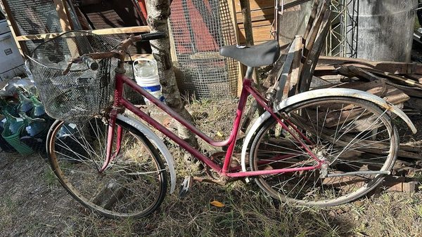 Bicicleta de Dama Usada - imagen 2
