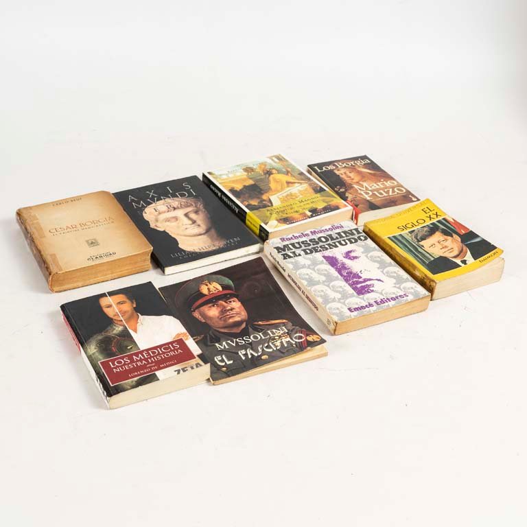 Lote siguiente: Colección de libros sobre historia y política