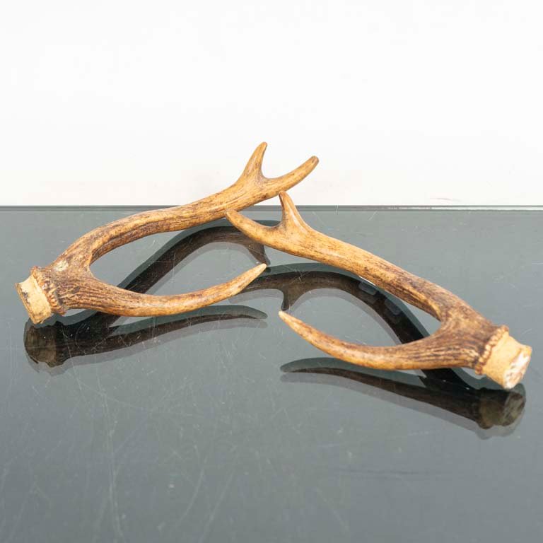 Item 2094040 - Image 1