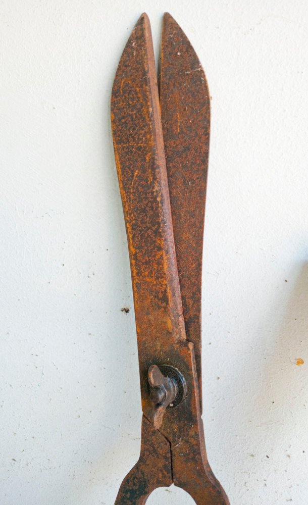 Item 491856 - Image 4