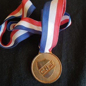 Lote siguiente: Medalla Oficial Campeón Uruguayo 2020 Club Nacional de Football - AUF