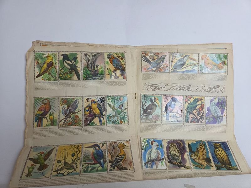 Álbumes antiguos completos de cómics y libros - imagen 9