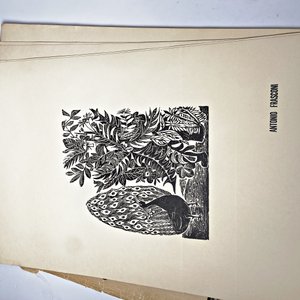 Libro "26 Artistas para 25 Años" - Portafolio de Ilustraciones Hojas Sueltas - imagen 4