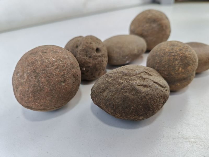 Item 842650 - Image 3