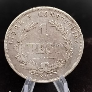 Moneda de 1 Peso Uruguayo de 1893 - imagen 2