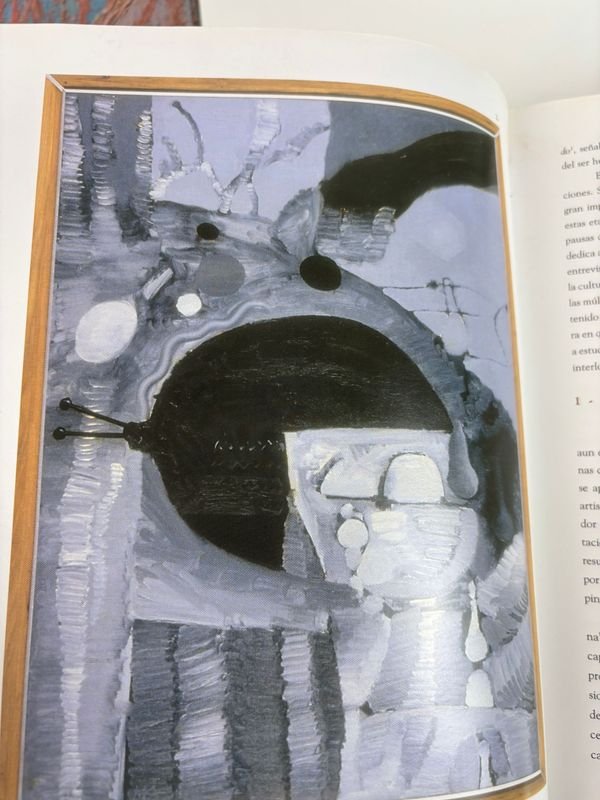 Colección de libros y catálogos de arte uruguayo y contemporáneo - imagen 13