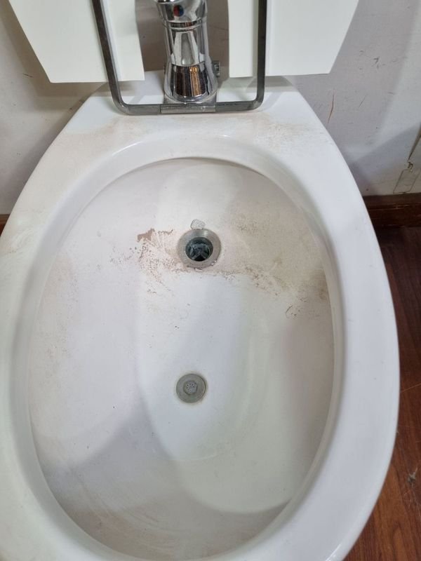 Item 866794 - Image 3