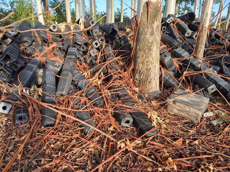 Lote siguiente: ESTIBA DE MACETAS EN PVC DE 7 m DE LARGO, 3 m DE ANCHO, 1 m DE ALTURA
