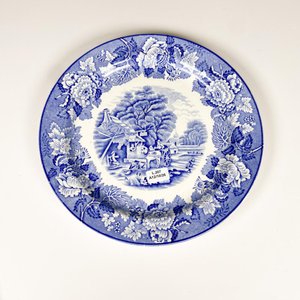 Plato de Loza Inglesa Woods Ware "English Scenery" - Diámetro 25 cm - imagen 1
