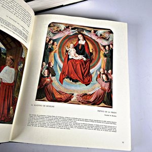 Dos Tomos "Historia de la Pintura" Editorial Vergara Barcelona - imagen 5