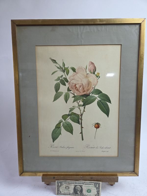 Item 829950 - Image 0