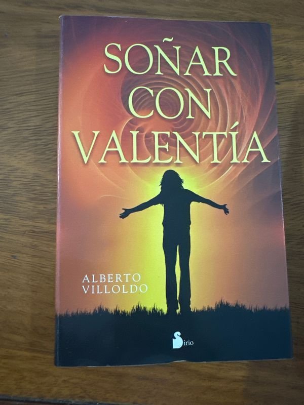 Lote siguiente: Libro Soñar con Valentía: Análisis y descripción