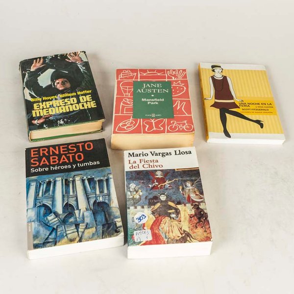 Lote de 5 Libros Variados: "Expreso de Medianoche", "Ernesto Sábato: Sobre Héroes y Tumbas", "Jane Austen", "Mario Vargas Llosa: La Fiesta del Chivo", "Una Noche en la Feria"