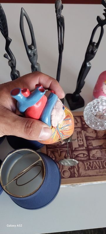 Item 878219 - Image 7