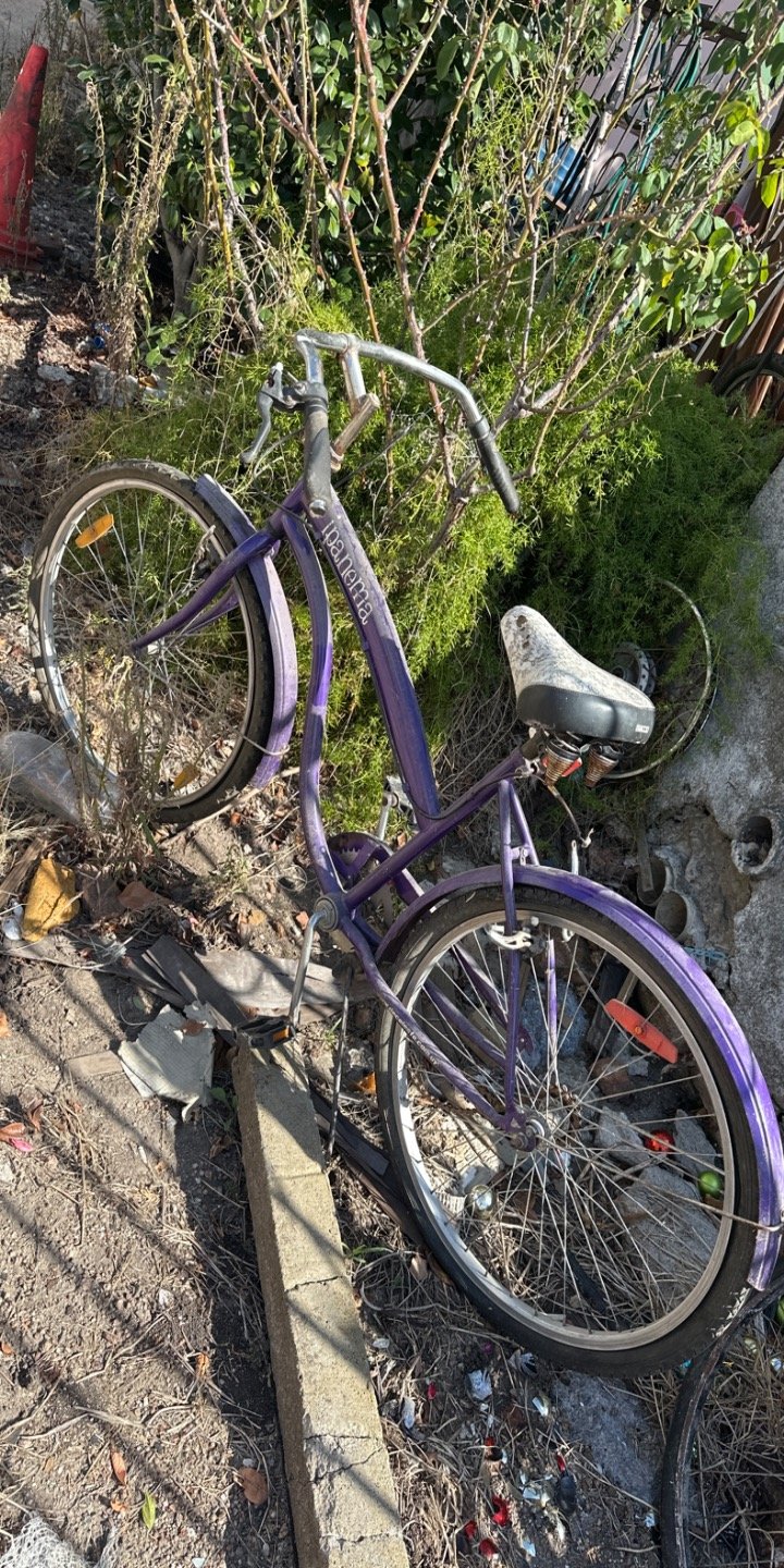 Bicicleta en Mal Estado