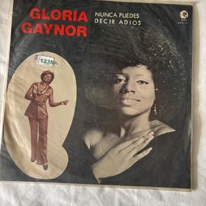 Lote anterior: Vinilo Gloria Gaynor "Nunca Puedes Decir Adiós"