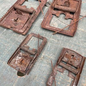 Lote de 6 Trampas para Ratas y Ratones Metálicas - imagen 2