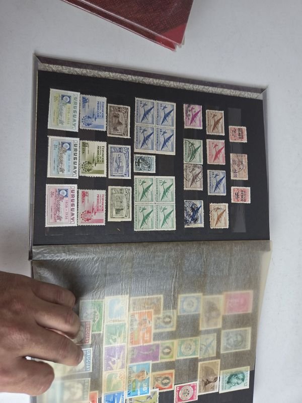 Item 872047 - Image 15