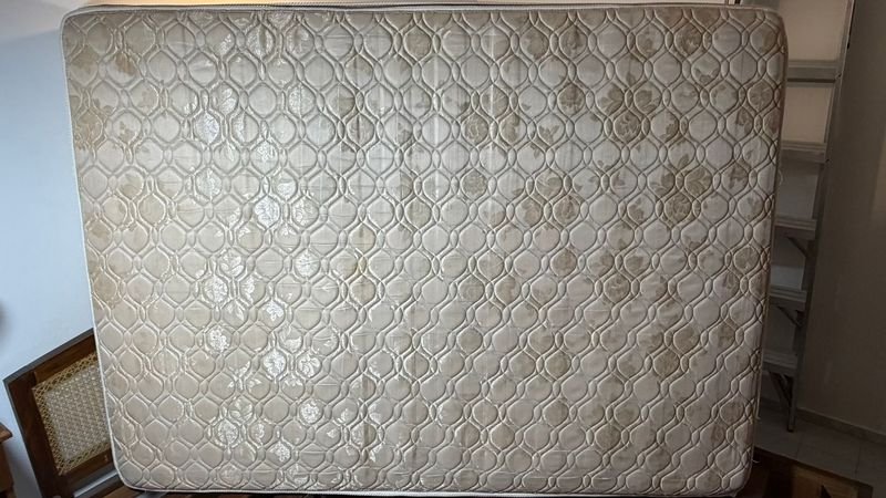 Item 880968 - Image 2