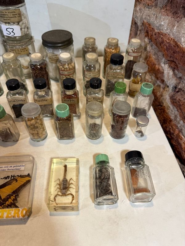 Item 851807 - Image 4